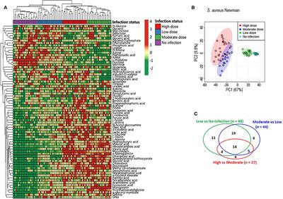 Inhibition of Host Arginase Activity Against Staphylococcal Bloodstream Infection by Different Metabolites